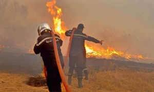 حريق غابات ملولة: إجلاء أربع عائلات