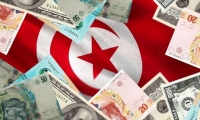 تعد الاستثمارات الأجنبية المباشرة عنصرا مهم في