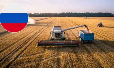 روسيا تدرس وقف صادراتها من القمح ودوار الشمس