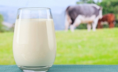 رئاسة الحكومة ستبت في مقترح الزيادة في تسعيرة الحليب