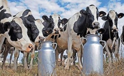 ديوان تربية الماشية وتوفير المرعى:  تونس ستواصل استيراد اللحوم الحمراء إلى غاية سنة 2028