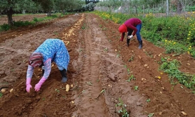 نسبة البطالة فيها ارتفعت بعدد نقاط تراوح بين 10 و1.2 %: المناطق التي يغلب عليها الطابع الفلاحي والسياحي  الأكثر تأثرا بالأزمة الصحية