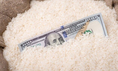 نقص المعروض تقفز بسعر الأرز لأعلى مستوى في 15 عاماً