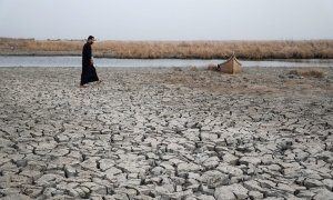 &quot;يونيسيف&quot; تؤكد دعمها للحكومة العراقية في مواجهة شح المياه