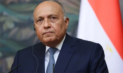 وزير الخارجية المصري يدعو إلى تسوية الأزمة السورية بكافة أبعادها