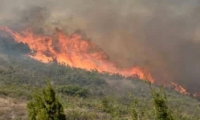السيطرة على حريق بغابة في بوسالم