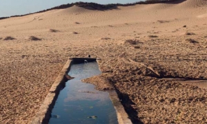 تكثيف عمليات مراقبة نقاط المياه بصحراء رجيم معتوق في ظل ارتفاع درجات الحرارة