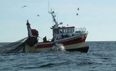 بعدما كان من المفروض المصادقة على 4 مشاريع قوانين: مجلس نواب الشعب يصادق على مشروع قانون يتعلق بمراقبة مخالفات الصيد البحري