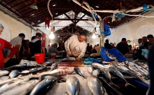 ارتفاع أسعار الخضر والغلال وانخفاضها في الأسماك: المواد الطازجة تمثل 29 % في احتساب نسبة التضخم