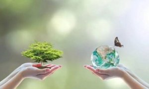 إضاءة الماء والخضرة والتنوع البيولوجي