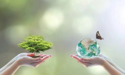 إضاءة الماء والخضرة والتنوع البيولوجي
