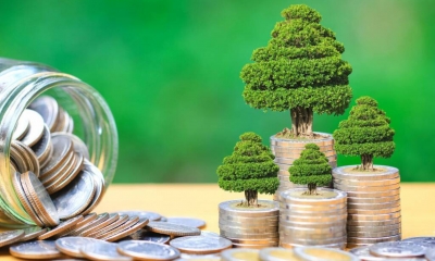 السندات الخضراء والاجتماعية والمستدامة في المنطقة العربية: أدوات مبتكرة لتعزيز عمق سوق السندات المحلية