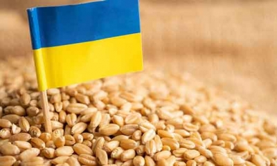 أوكرانيا: صدرنا 35.8 مليون طن حبوب وبقوليات خلال العام التسويقى 2022-2023