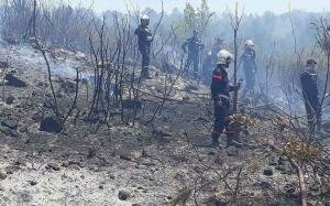 الحرائق تجتاح الجهات التونسية:  170 حريقا تلتهم أكثر من 400 هكتار من الغابات و300هكتار من المحاصيل وتأتي على 26 منزلا