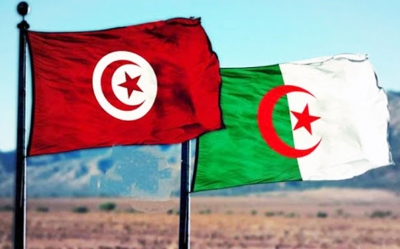 تونس والجزائر تحتاجان الآن إلى بناء علاقات تجارية جديدة