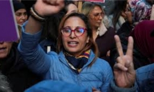 ملف " التآمر على امن الدولة " الانطلاق في تنفيذ الاحكام:  · ايقاف شيماء عيسى اثناء مشاركتها في مسيرة