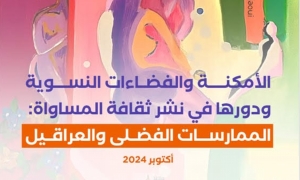 الفضاءات النسوية