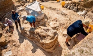 العثور على مقبرة أفيال من العصر الميوسيني في فلوريدا