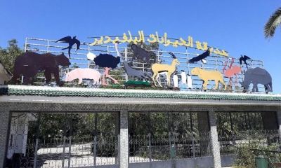 بداية من اليوم: حديقة الحيوانات بالبلفيدير مغلقة ولمدة شهر