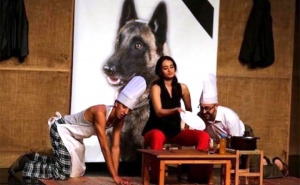 «كلب الست» من فلسطين في المسابقة الرسمية لأيام قرطاج المسرحية: عزف على أوتار القضية في سمفونية من الاستعارات والرمزية