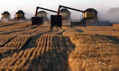 مجلس الحبوب الدولي يرفع توقعات صادرات القمح الروسي بمقدار مليون طن