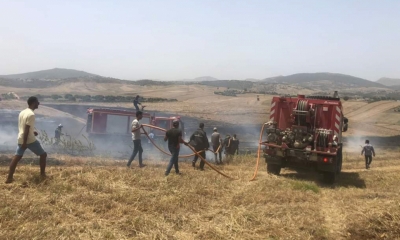 فرنانة: حريق يأتي على 8 هكتارات من حقول القمح