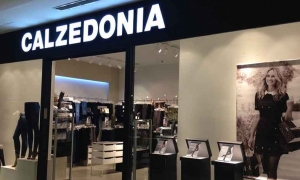 بطاقة تشغيلية تصل الى 300عامل: مدينة الساحلين ستشهد انتصابا لشركة "CAlZEDONIA" اواخر ماي القادم ....