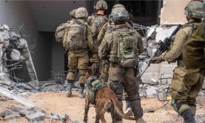 جيش الاحتلال الإسرائيلي يقر بقتل نحو 100 شخص في غزة ولبنان خلال أسبوع