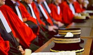 &quot;السلطة التنفيذية ووزارة العدل هما المستفيدان من تأخر الحركة&quot;
