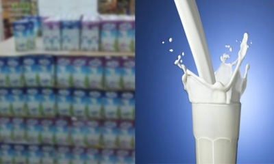 خلال حملة مراقبة بمدنين: حجز قرابة 45 ألف لتر من الحليب