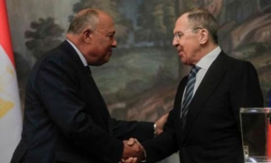 وزيرا خارجية روسيا ومصر يدعوان المجتمع الدولي إلى الاضطلاع بمسؤولياته تجاه فلسطين