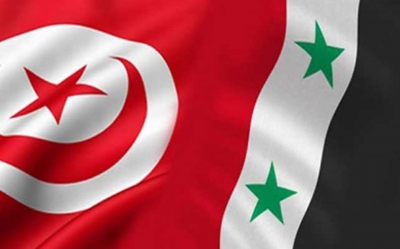 حول مشروع لائحة إعادة العلاقات الدبلوماسية مع سوريا