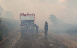 اتساع رقعة النيران بغابات فرنانة ومروحية عسكرية تشارك في عملية الإطفاء