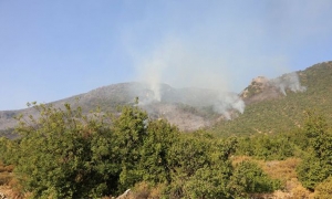 القيروان: اندلاع حريق بجبل زغدود من معتمدية الوسلاتية