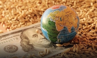 المجلس الدولي للحبوب: انخفاض اسعار صادرات الحبوب