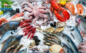تطور في حجم الصادرات بـ 26 %: ميزان التجارة الخارجية لمنتوجات الصيد البحري يسجل فائضا بـ97 مليون الدينار