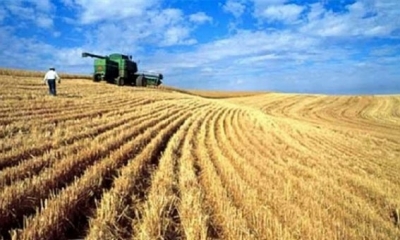 واردات الحبوب ترتفع في جانفي المنقضي ب 63.2%