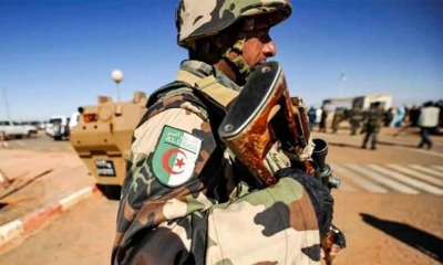 اعتقال 12 عنصر دعم للجماعات الإرهابية في عمليات للجيش الجزائري