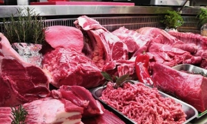 وزير الفلاحية يدعو الى وضع خطة لتطوير قطاع اللحوم الحمراء