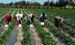 سيدي بوزيد: ترسيخ تقنيات ومهارات الحفاظ على الموارد الطبيعية والبيئة أبرز أهداف مركز التكوين المهني الفلاحي