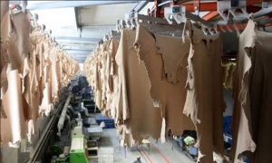 الثالوث إيطاليا وفرنسا وألمانيا يستحوذ على91 % من إجمالي الصادرات: قيمة صادرات صناعة الجلد والأحذية ترتفع إلى 1.6 مليار دينار في 2021