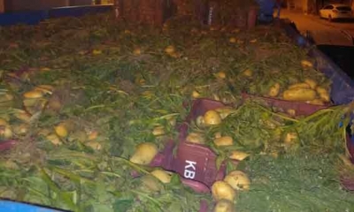 ولاية تونس :  حجز 5 أطنان من مادة البطاطا