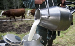 الانطلاق في توزيع الحليب المورد في الفضاءات التجارية:  مصالح وزارة التجارة تؤكد مطابقته للمواصفات الصحية وعمليات التوريد مرتبطة بتطور السوق