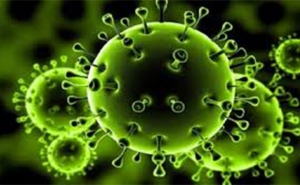 في مقاومة انتشار فيروس الكورونا المستجد: في مسؤولية الدولة والهياكل والأفراد
