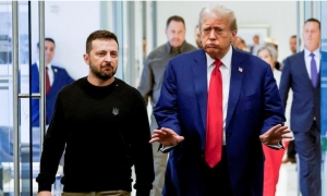 ترامب وزيلينسكي
