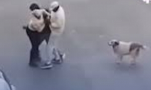 "براكاج" لإمرأة بجهة سكرة.. إيقاف 3 أفارقة من جنوب الصحراء