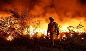 استمرار حرائق غابات في ثلاث مناطق باليونان