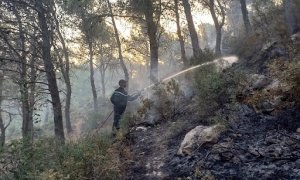 نفزة: حريق يأتي على حوالي هكتارين من غابة سيدي أحمد