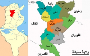 بعد تعرضهم للاعتداء : أعوان معتمدية سليانة الجنوبية يحتجون ويطلبون الحماية