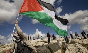 تقرير إحصائي: أكثر من 6 ملايين لاجئ فلسطيني